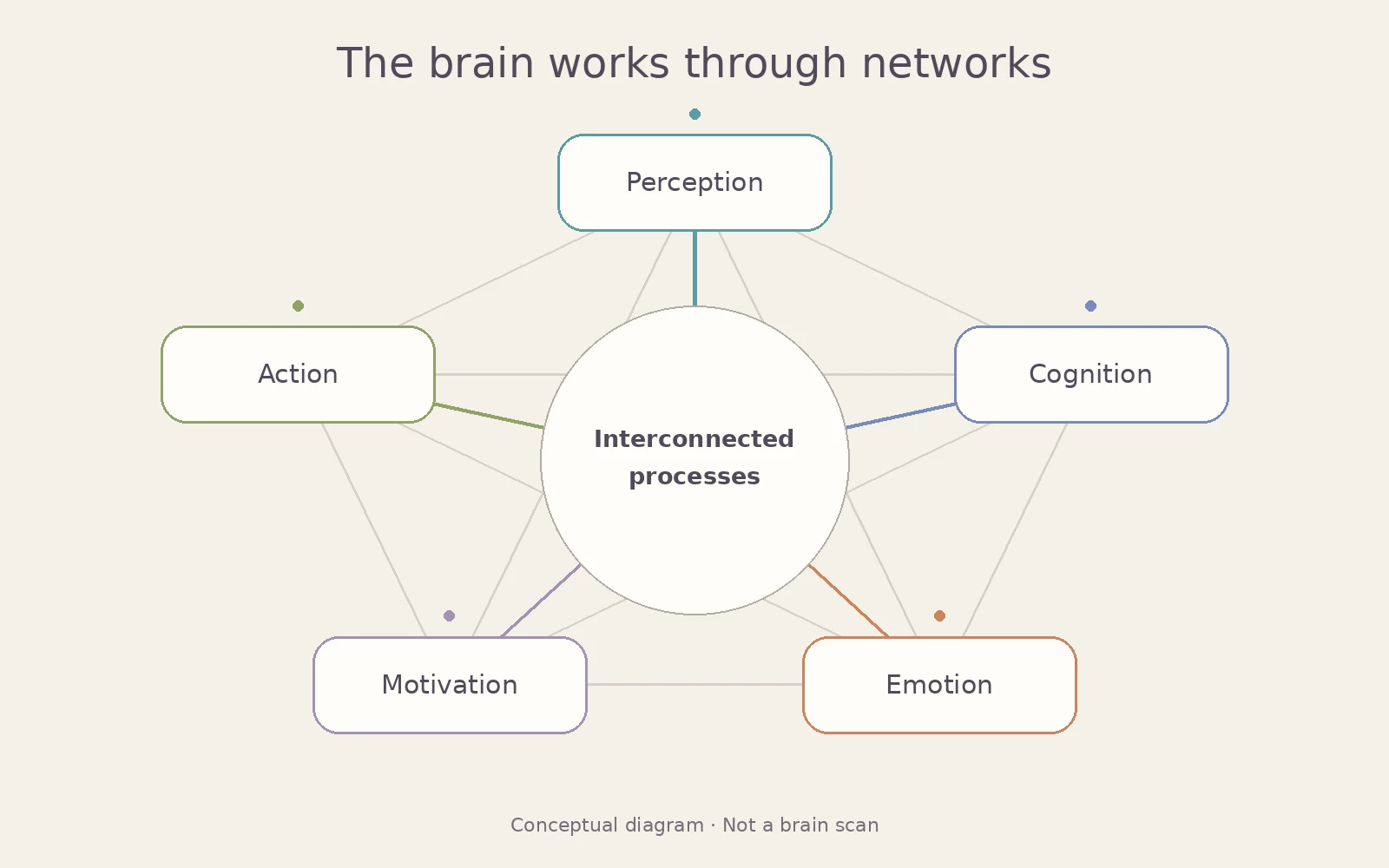 Conceptual diagram of interactions between perception, cognition, emotion, motivation and action