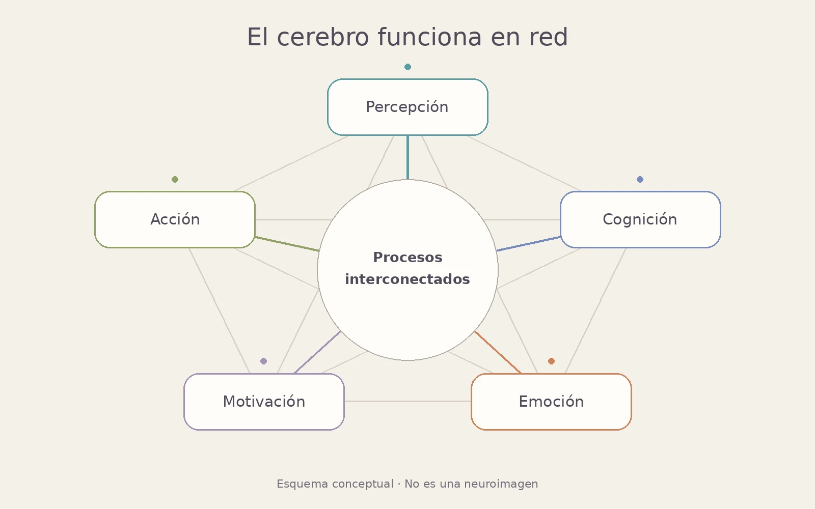 Esquema conceptual de la interacción entre percepción, cognición, emoción, motivación y acción