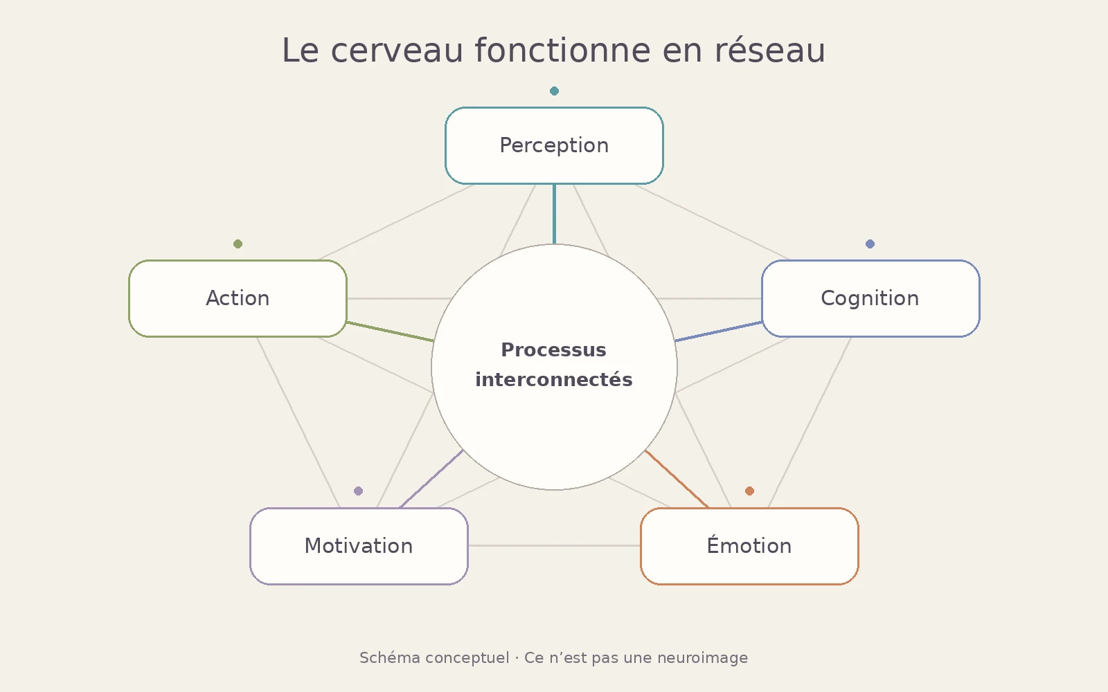 Schéma conceptuel des interactions entre perception, cognition, émotion, motivation et action